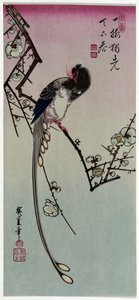 Ume ni Nagadori by Utagawa Hiroshige